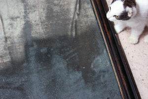 A Victorian Walnut Rectangular Wall Mirror c.1870