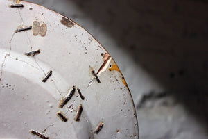 A Beautiful Rivet Repaired Italian Majolica Plate c.1870