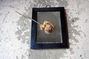 A Rare George III Rosewood Concave Wall Mirror c.1800