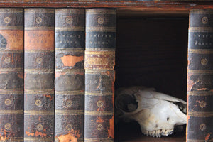 An Unusual George III Oak & Book-Spine Mounted Wall Cupboard