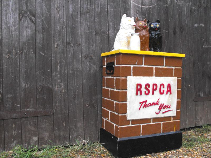 A Comical Mid 20thC Vintage RSPCA Charity Collection Box – Doe & Hope