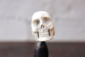 A Curious Early 20thC Miniature Carved Bone Model of a Human Skull Upon an Ebonised Column