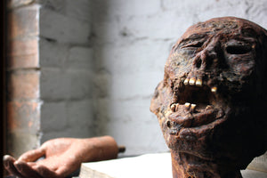 A Superbly Modelled Mummified Head Film Prop by Alan Friswell