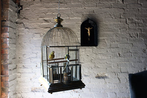 A Wonderful c.1870 Gilded Architectural Bird Cage with Ornithological Taxidermy Studies