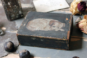 A Late 19thC Folk Art Pine Cigar Box Painted with a Study of a Border Terrier