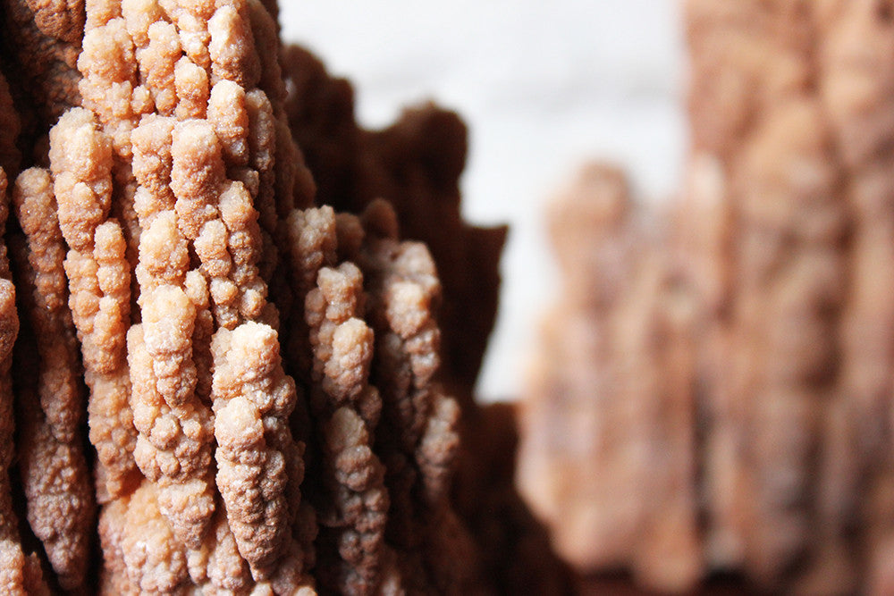 Scolar Rocks A Beautiful Group of Three Graduated Aragonite Scholar’s Rocks – Doe & Hope
