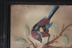 Circle of Samuel Dixon; A Marvellous Trio of Ornithological Embossed Watercolour Studies c.1750-65